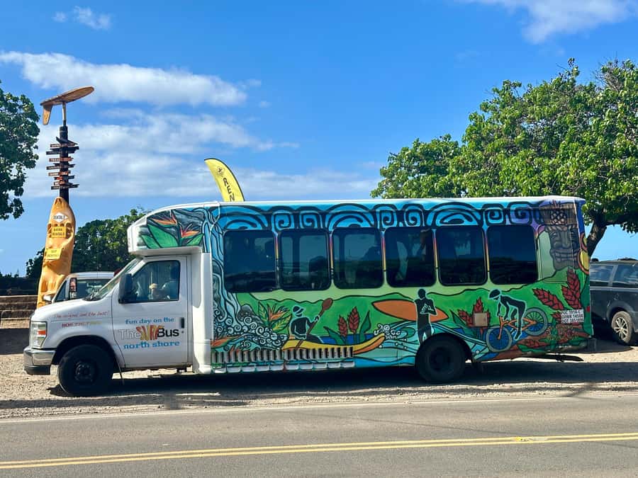 02/03 - 02/09 - Watch Pipeline Surf Challenge ! - Pupukea: a long stretch of swimming and snorkeling time