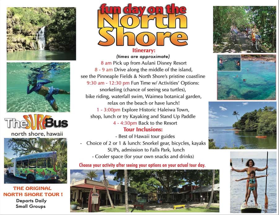02/03 - 02/09 - Watch Pipeline Surf Challenge ! - Haleiwa Town: art galleries, shops, and shave-ice time