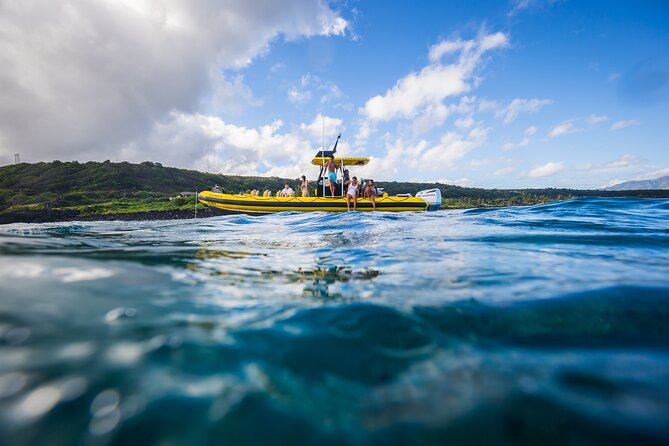 1.5-Hour Guided Whale Watching Tour - Price and value: is $99 worth it for a 1.5-hour hunt?