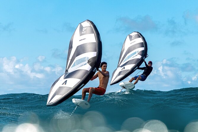#1 eFoil 1.25 hr or 2 hr wing foil or windsurf or kayak lesson - Key reasons this Kailua lesson is worth your time