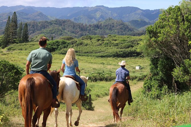 1 Hour Scenic Horseback Ride - What you actually do on the trail (the walking-only difference)
