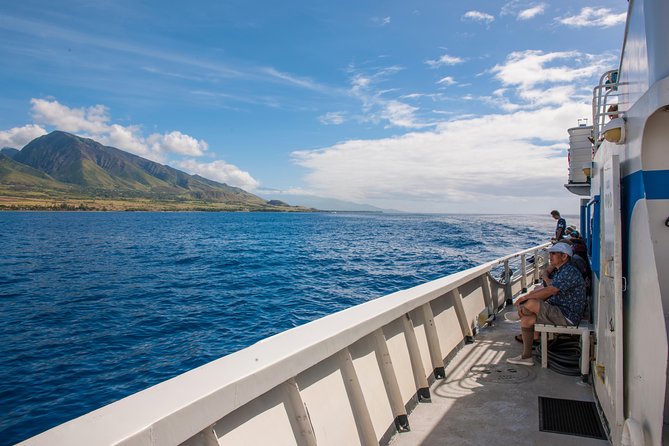 2-Hour Oahu Whale Watch from Ala Wai Harbor, Waikiki - Photos, sound, and that feeling of being part of the moment