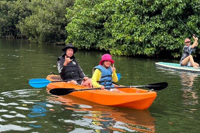 2 hour tandem kayak rental at our private launch area in Hale'iwa - Sea Turtles in the Anahulu River: How to Enjoy Wildlife Right