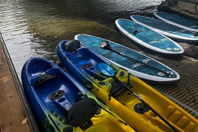 2 hour tandem kayak rental at our private launch area in Hale'iwa - What to Bring (and What Not to Assume Is Included)