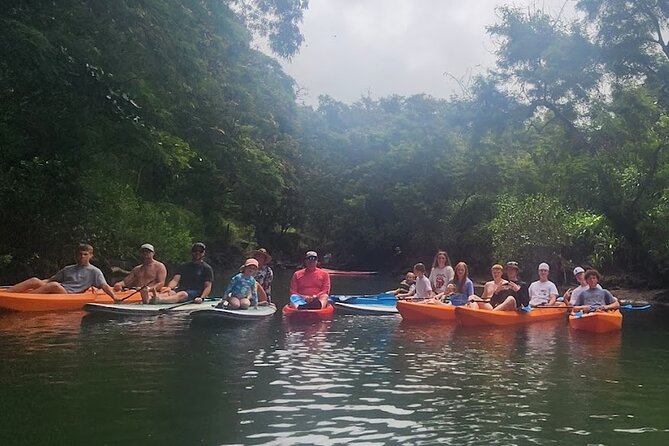 2 hour tandem kayak rental at our private launch area in Hale'iwa - The Two-Hour Tandem Plan: Shared Paddling to the Calm Bay