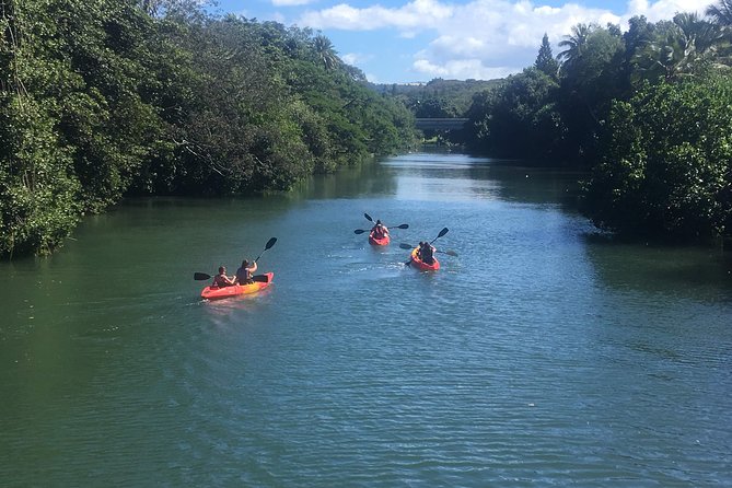 2-hour tandem kayak rental - Where You Start: Hale’iwa Beach Park and Finding Your Spot