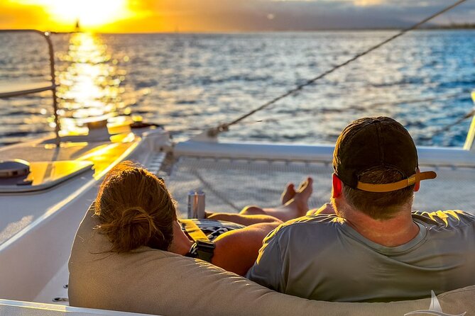 2hr Luxury Private Sailing Catamaran for 7-12 People - Wildlife spotting: turtles, dolphins, fish schools, and whales in season