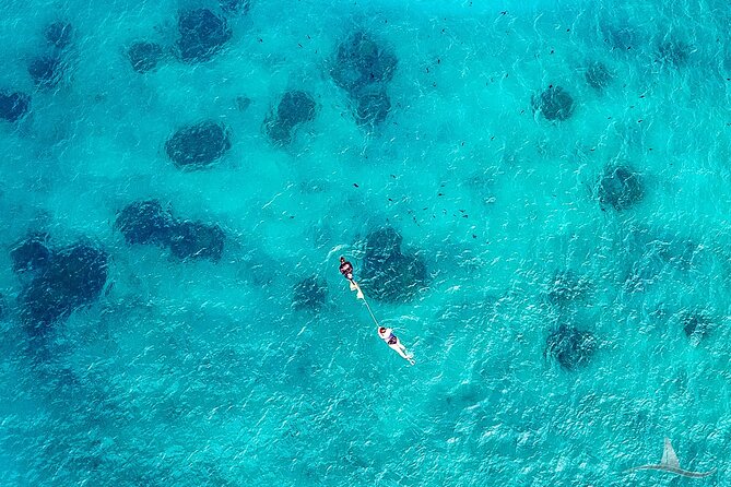2hr Luxury Private Sailing Catamaran for 7-12 People - Swimming from the boat and lounging in the nets