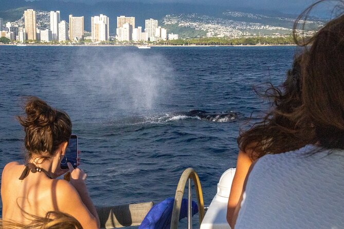 2hr Luxury Private Sailing Catamaran in Waikiki for 1-6 People - Snorkeling and wildlife: when the morning is your friend