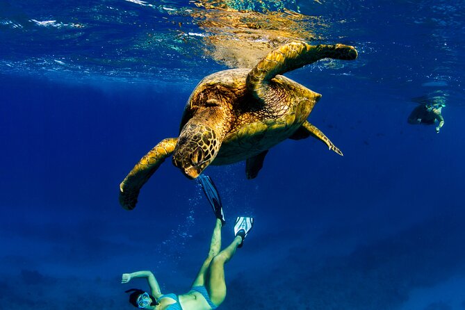 2hr Luxury Private Sailing Catamaran in Waikiki for 1-6 People - What you actually get for $1,150 per group (up to 6)