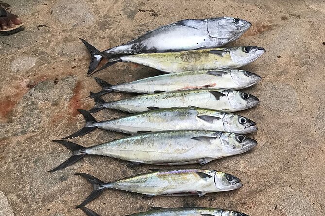 3-Hour Fishing Trip in Waikiki - Key points before you go