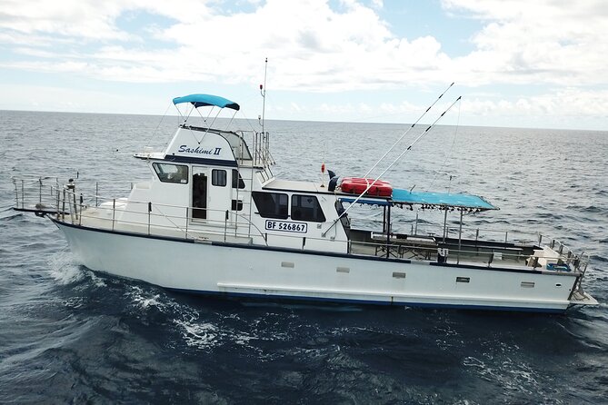 3-Hour Honolulu Bottom Fishing Adventure - The boat ride that keeps Honolulu in view