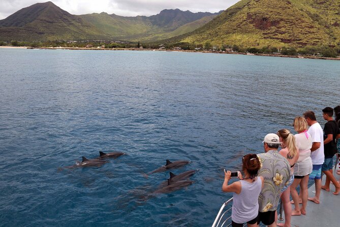 3 Zipline Adventure and 3.5 hour Afternoon Snorkel Cruise - Key points at a glance