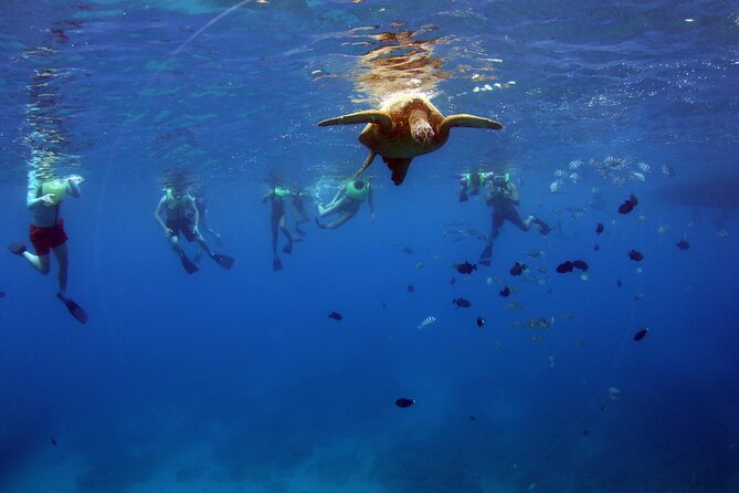 3 Zipline Adventure and 3.5 hour Afternoon Snorkel Cruise - Who this tour fits best (and who should reconsider)