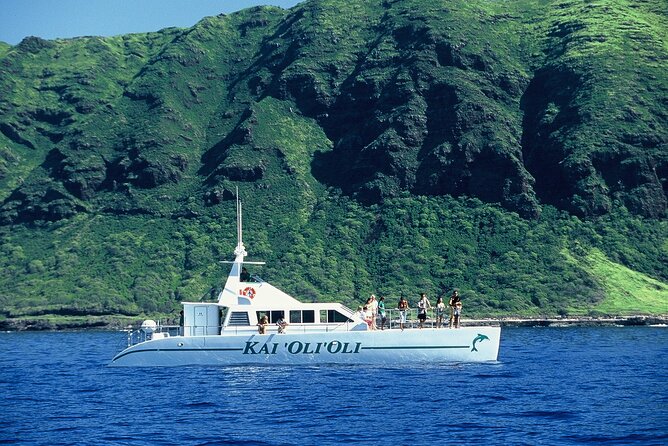 3 Zipline Adventure and 3.5 hour Afternoon Snorkel Cruise - Value check: what you’re really paying for at $232.89