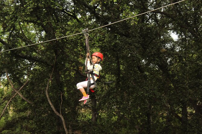3 Zipline Adventure with Waikiki Transportation - Waikiki pickup to Coral Crater: getting there without stress