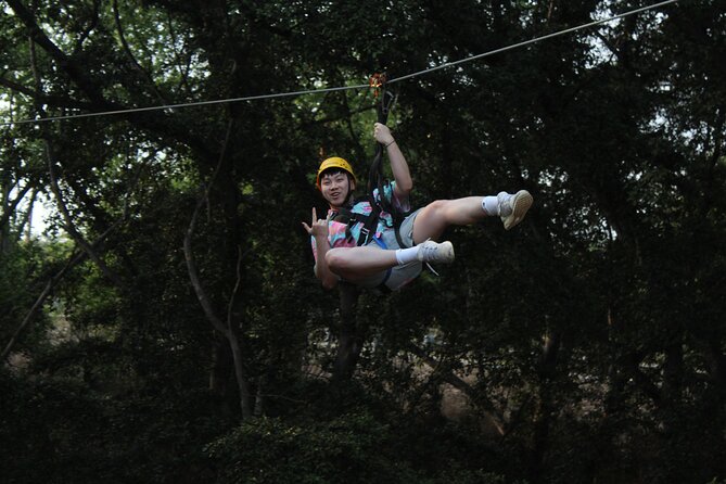3 Zipline Adventure with Waikiki Transportation - Check-in and gear orientation: where you earn confidence fast