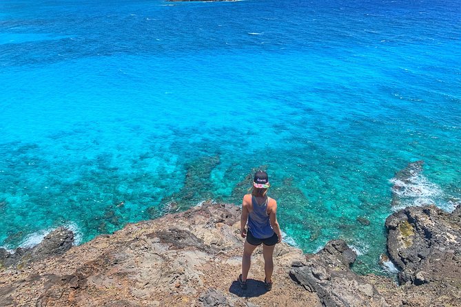 4 Hour Half Day Island Jeep Tour - Stop-by-Stop: Portlock to Makapu’u in One Morning