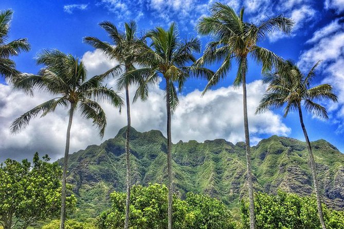 4 Hour Half Day Island Jeep Tour - Book It or Skip It: My Decision Guide