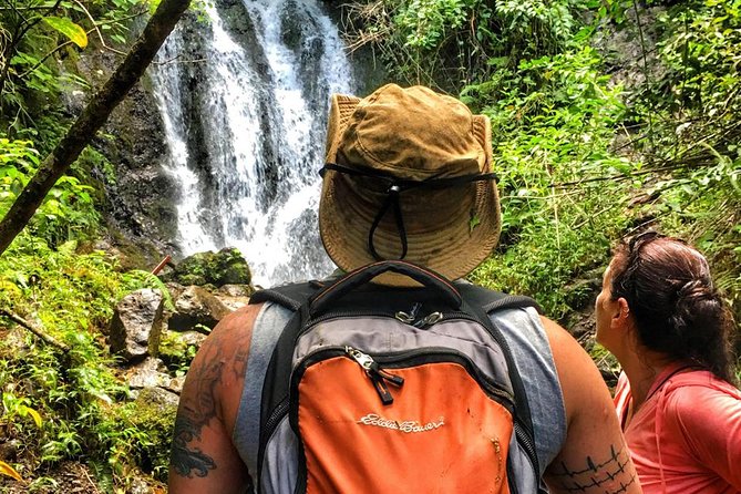5 Hour Romantic Hawaii Jeep Tour - Pickup and start-point sanity: Waikiki hotel collection