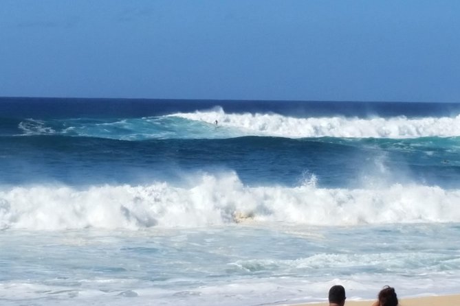 6-Hour Private Customized Luxury Convertible Tour of Oahu's North Shore - Waimea Bay and Waimea Valley: Waves, a 40-Foot Waterfall, and Swim Time