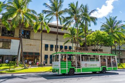7 Day Pass LeaLea Trolley and Waikiki Trolley Pink Line - Value Check: Is $82 Actually a Good Deal?