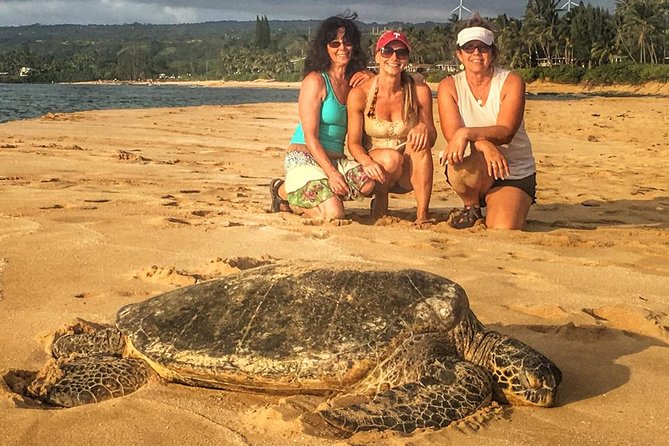 8 Hour Circle Island Jeep Tour - Why an 8-Hour Circle Island Jeep Tour Works So Well on Oahu