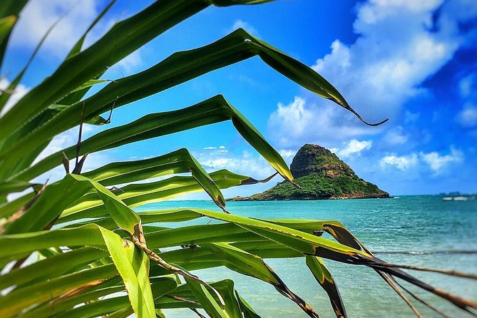 8 Hour Circle Island Jeep Tour - Guides: why Wayde, Ward, and Zach show up again and again