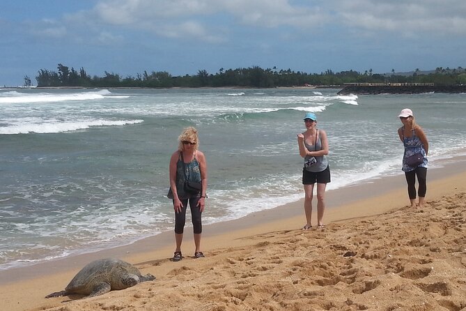 8-Hour Luxury Four Door Convertible Tour of Oahu's South and North Shores - Waimanalo to rum and coffee: changing scenery without wasting time