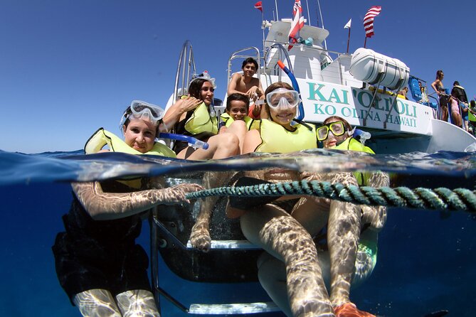 All-Inclusive Sunset Dolphin Watch and Snorkeling Cruise - Key Highlights You’ll Care About