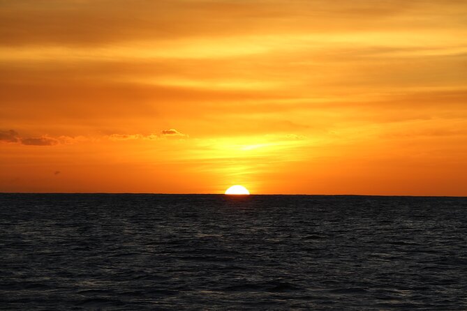 All-Inclusive Sunset Dolphin Watch and Snorkeling Cruise - Snorkeling in Warm, Clear Water: What to Expect and How to Prepare