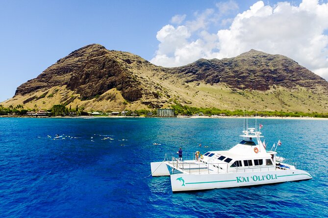All-Inclusive Sunset Dolphin Watch and Snorkeling Cruise - Dolphins and Other Wildlife: How the Odds Shape Your Expectations