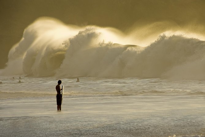 Amazing Oahu Adventure Bundle: 6 Self-Guided Audio Tours - Day 4: North Shore rerun, but with more bite (Dole, Haleiwa, and Kualoa)