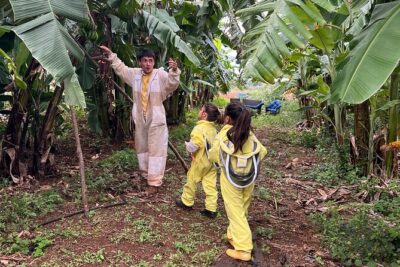 Bee Farm Ecotour and Honey Tasting in Waialua, North Shore Oahu - What happens when you suit up: safety and comfort first