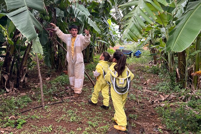 Bee Farm Ecotour and Honey Tasting in Waialua, North Shore Oahu - What happens when you suit up: safety and comfort first