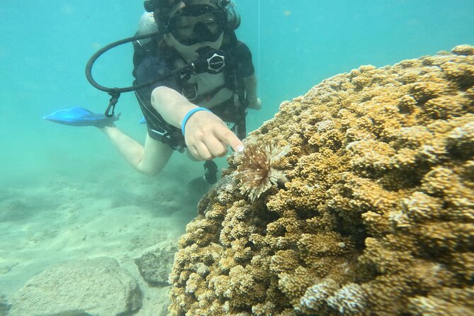 Beginner Scuba Diving Experience with Video Package in Honolulu - Safety Briefing and Gear Setup: Learning to Breathe