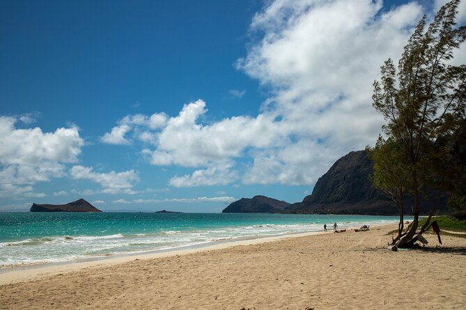 Best Of Oahu: Grand Circle Island Small Group Tour From Waikiki - Dole Plantation and the King Kamehameha Statue: souvenirs with context