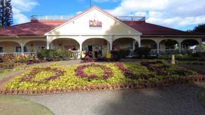 Best of Oahu in One Day - How pickup, the 8-hour clock, and flexibility really work