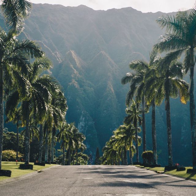 Best of Oahu in One Day - North Shore day: turtles, Haleiwa Town, and the beach-choice stop