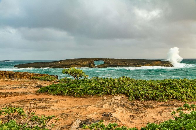 Best of Oahu: Pearl Harbor, Arizona Memorial and the Polynesian Cultural Center - Tropical Farms macadamia stop: a short break that actually helps