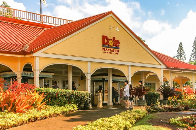 Best of Oahu: Pearl Harbor & Oahu Circle Island Tour from Waikiki - Macadamia stop and Nu’uanu Pali ridge views: quick hits, good payoff