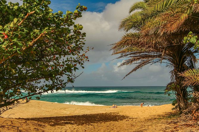 Best of Oahu: Pearl Harbor & Oahu Circle Island Tour from Waikiki - Pickup, small-group feel, and how the guides affect your day