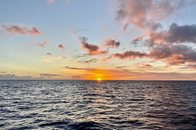 BYOB Sunset Cruise Waikiki - Getting On Board at 1125A Ala Moana Blvd (and What to Expect)