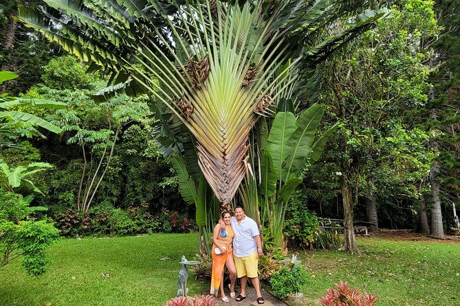 Byodo Temple and Waimea Botanical Garden Tour - Shopping and snack moments: useful breaks, not full shopping sprees