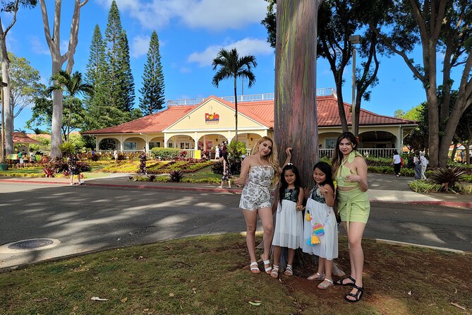 Byodo Temple and Waimea Botanical Garden Tour - Diamond Head State Monument: quick views, whale season payoff