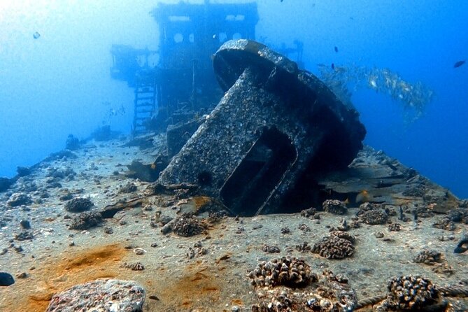 Certified Diver: 2-Tank Deep Wreck and Shallow Reef Dive Off Oahu - Shallow reef tank around 50 feet: turtles, eels, and that classic reef look