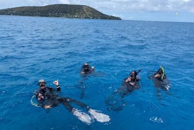 Certified Scuba Diving Along Two Shallow Reef Sites - Small Groups and Experience Splits That Keep Beginners Comfortable