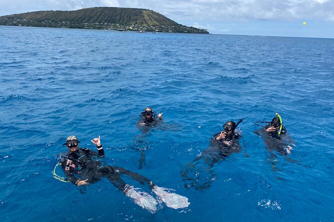 Certified Scuba Diving Along Two Shallow Reef Sites - Small Groups and Experience Splits That Keep Beginners Comfortable