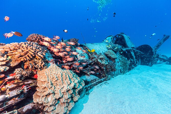 Certified Scuba Diving Experience in Honolulu - The team and safety: what the best reviews point to