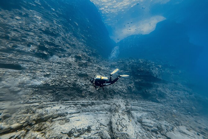 Certified Scuba Diving Experience in Honolulu - Price and value: how $205.43 adds up for an advanced charter